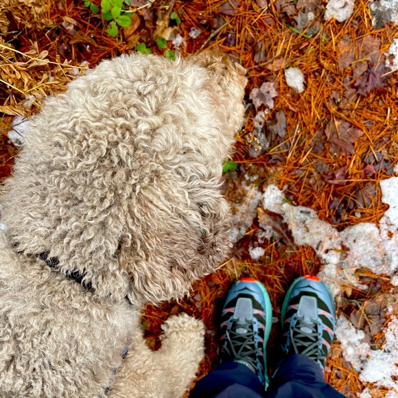 Meet your Posher, Jeremy - Picture 1 of 1